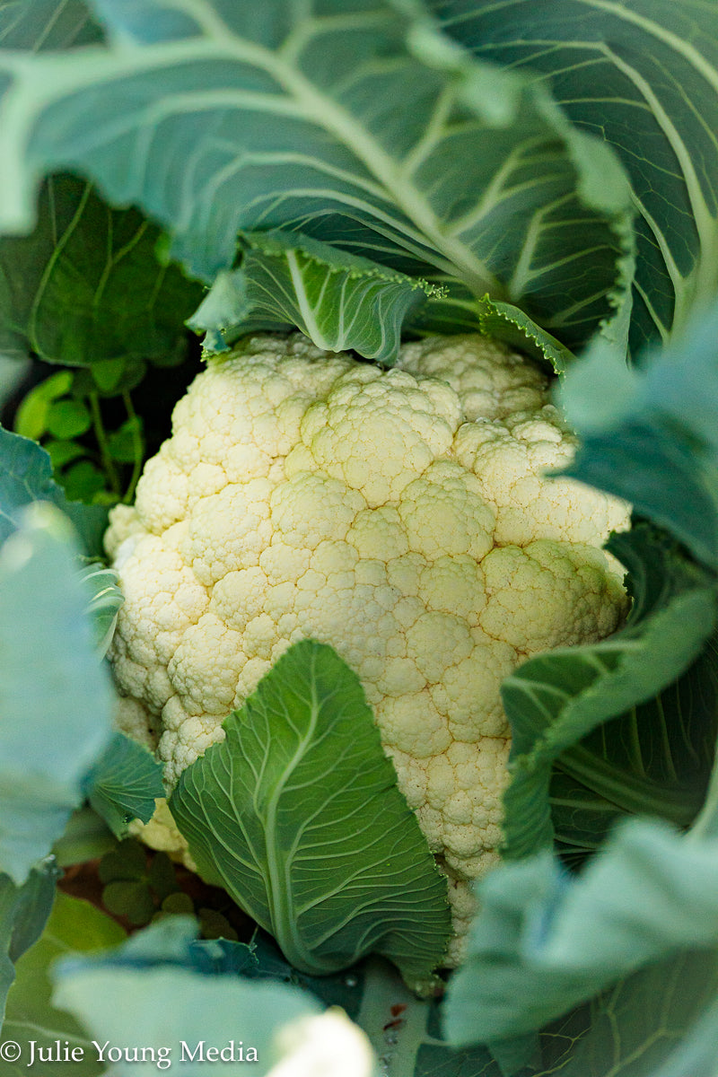 Bang Bang Cauliflower