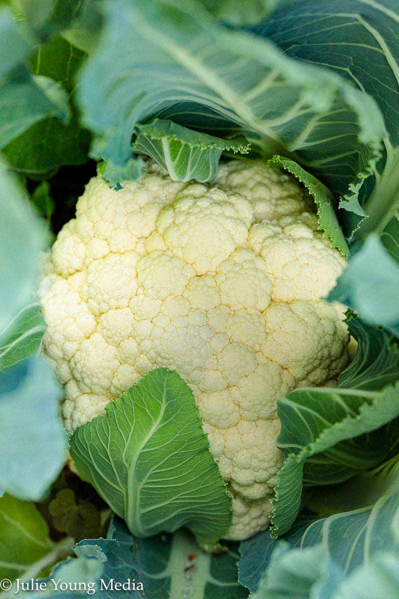 Bang Bang Cauliflower