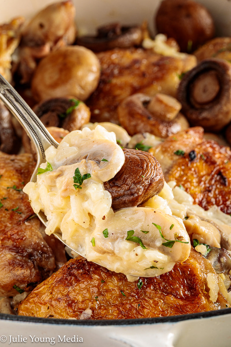 Creamy Chicken and Mushroom Rice